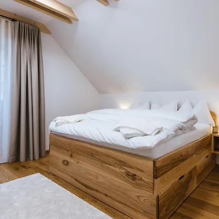 Alpine House 77 克拉尼斯卡戈拉